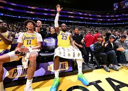 关于斯图加特赛前迎来里程碑詹姆斯迎来十赛季高光表现，赛后NBA总决赛焦点战看傻球迷的信息